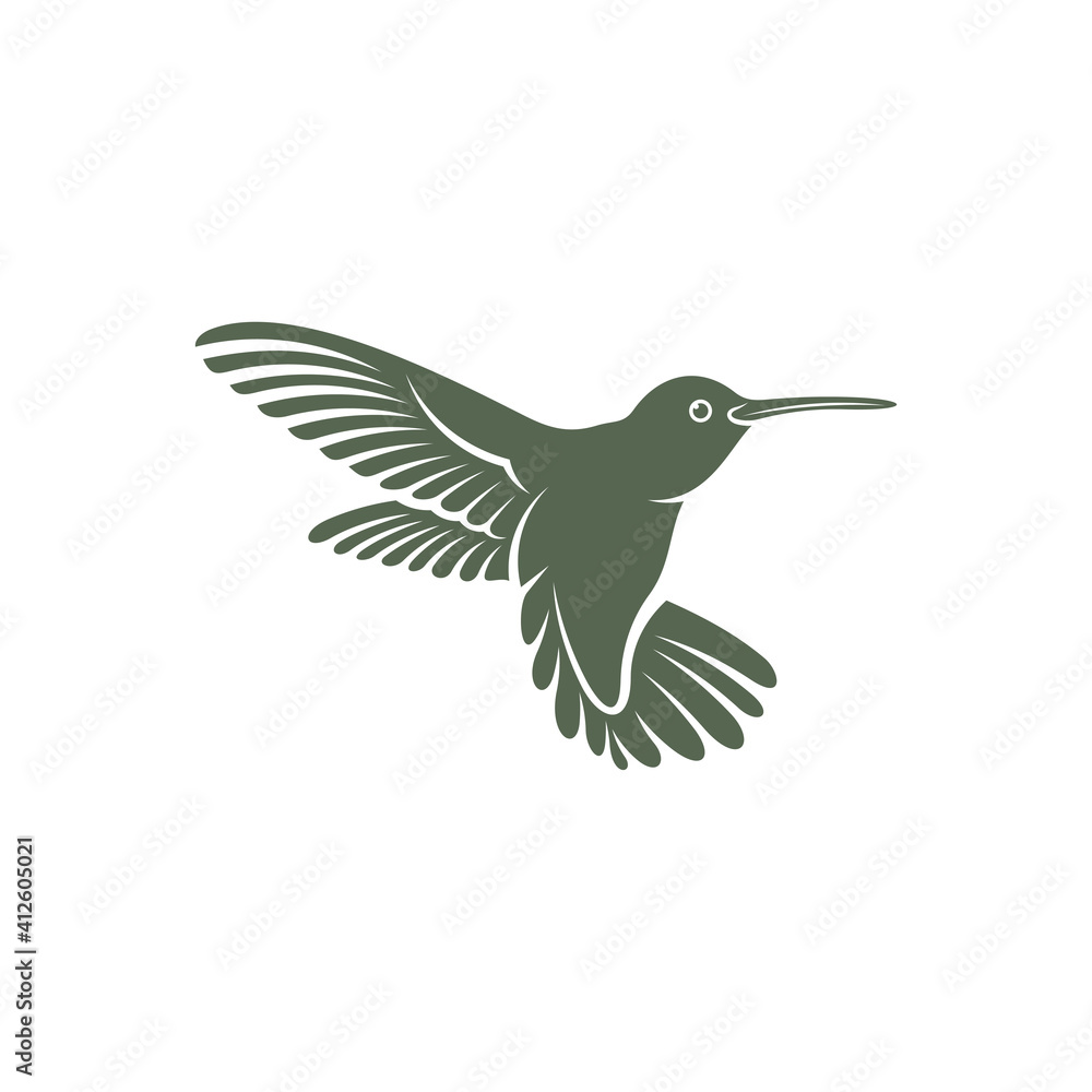 Fototapeta premium Hummingbird design vector illustration, Creative Hummingbird logo template, icon symbol