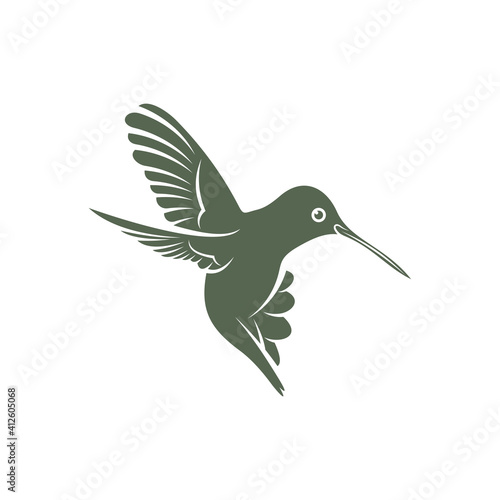 Hummingbird design vector illustration, Creative Hummingbird logo template, icon symbol