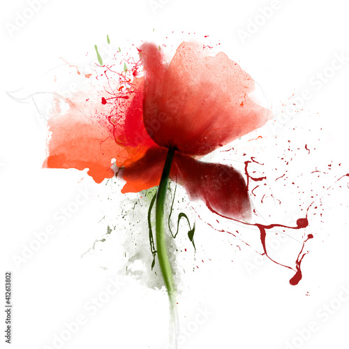 Amazingly beautiful red poppy close-up on a white background. The author's idea with splashes of paint and the effect of blurring, soft focus. Gentle airy light artistic image of nature