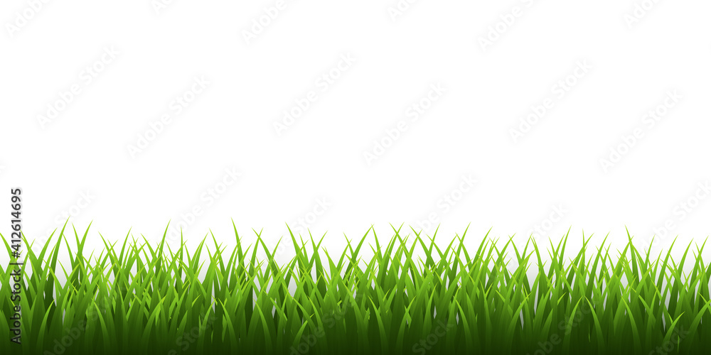 Green grass border set on white background. Vector Illustration Green grass border set on white background. Vector Illustration