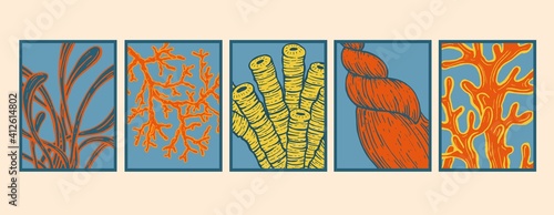 Set of covers, backgrounds, posters, cards. Sea style design. Underwater macro style creatures, corals, seashells.