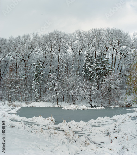 winter landscape with snowy forest and ice on the lake