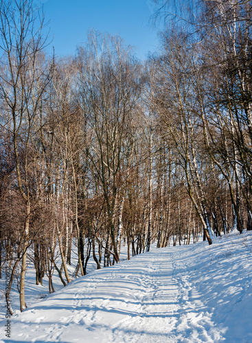 Beautiful winter landscape with snowy road in park