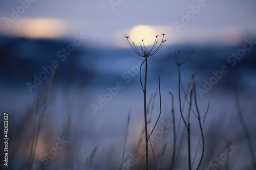 Winter twilight © liramaigums