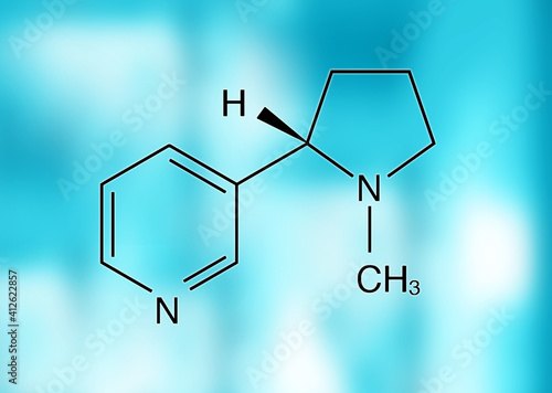 Tableau sur toile Chemical formula of nicotine.