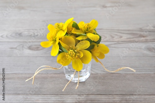Winter aconite, Eranthis hyemalis. Spring yellow flowers in vase.