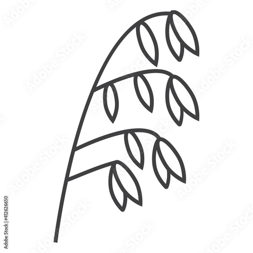 Oatmeal spikelet, grain icon vector. Rye, wheat, oat plant in outline