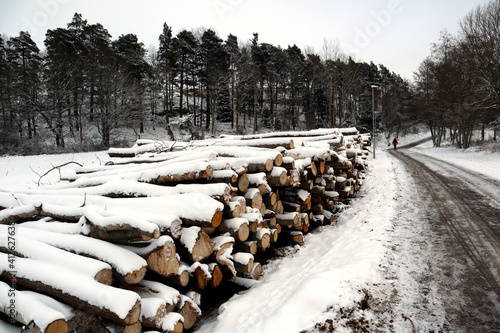 Snow covered lumber and timber logs. Large piles of wooden log outside. Snowy weather. During the winter in Järfälla, Stockholm, Sweden, Europe.