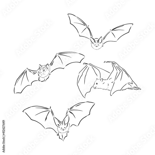 Screaming flying bat with extended wings, hand drawn vector illustration. bat, vector sketch illustration