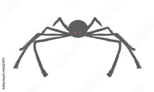 Black spider isolated. vector illustration