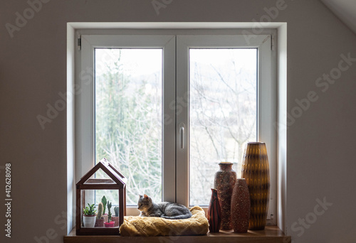 Cat sitting in the window on a soft, yellow blanket with mid century modern ceramic vases and small glass house with succulents photo