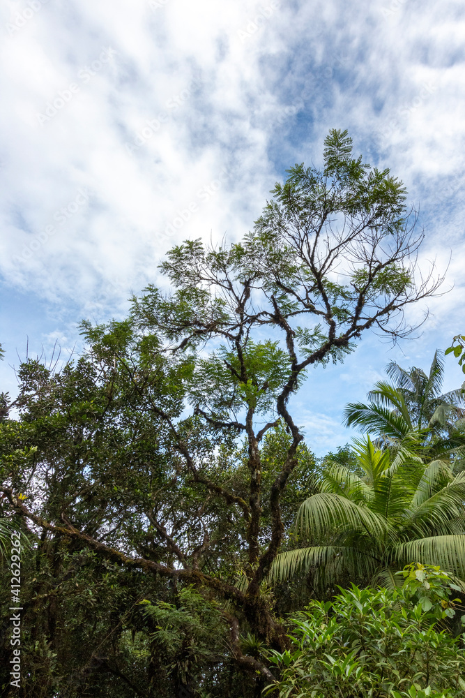 Obraz premium Landscape and nice sky