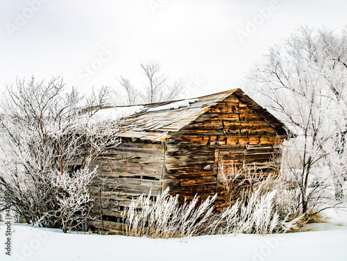 Rustic buildings and historic cars. Dorothy, Alberta, Canada photo