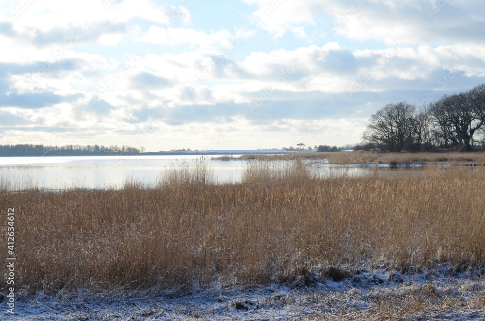Lake in winter in Basnæs, Denmark