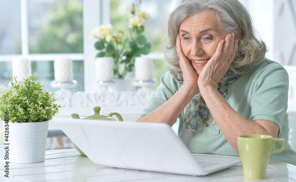 Portrait of beautiful senior woman sitting at table with laptop Portrait of beautiful senior woman sitting at table with laptop