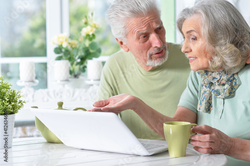  senior couple using laptop at home
