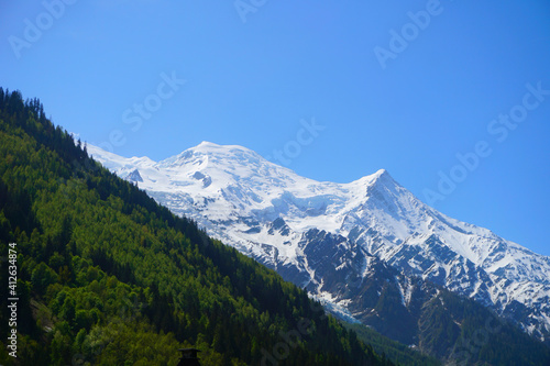 Chamonix France Mountains With Forest Stock Photo Stock Images Stock Pictures