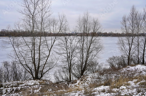 Winter landscape with trees and an ice-covered lake