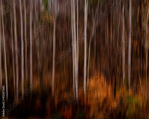 Vertical blur of trees in color.