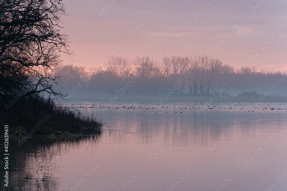 Sunrise over the lake - Dombes France Sunrise over the lake - Dombes France