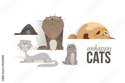 vector illustration set of cats. sad homeless cats isolated on a white background