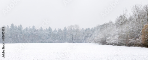 Snowy meadow on the edge of forest