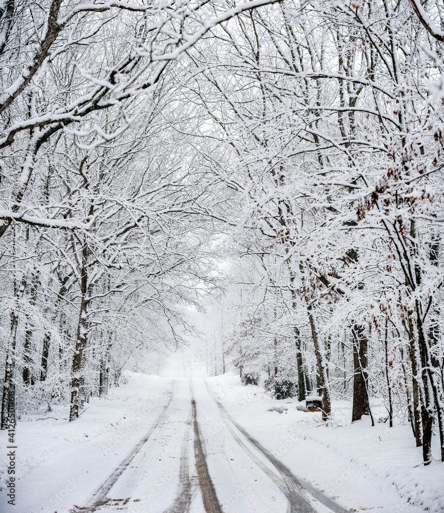 Obraz premium Winter road snow covered trees