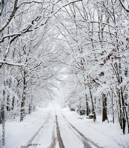 Winter road snow covered trees