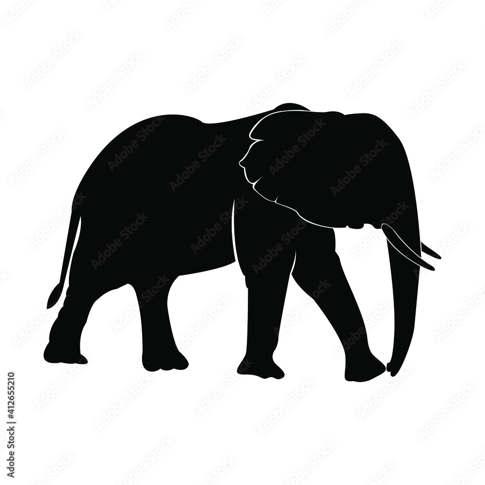 Fototapeta premium Walking big elephant strong power with outline black and silhouette Thailand, vektor elephant
