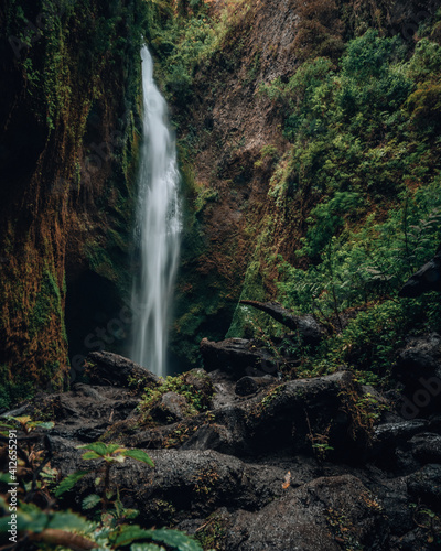 cascada en bosque natural © CarlosRM._