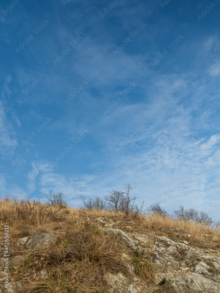 Winter yellow dry grass with trees and blue sky with clouds on horizon. Winter yellow dry grass with trees and blue sky with clouds on horizon.