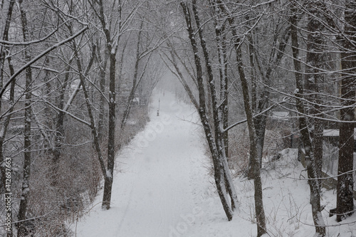 Snowy trail in New England