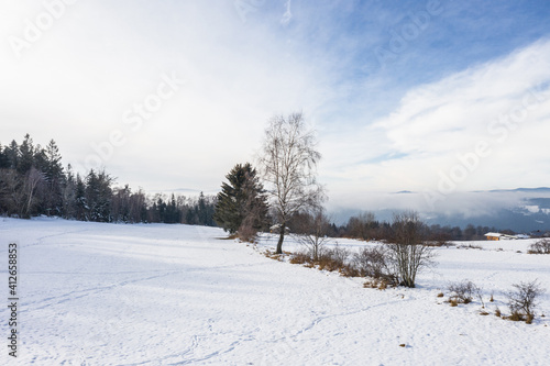 Schnee bedeckte winterliche Landschaft im bayerischen Wald, Deutschland © stgrafix