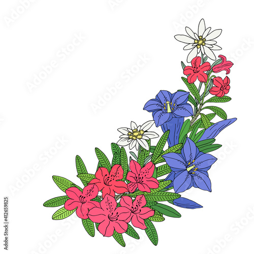 Floral bouquet with edelweiss, gentian and rhododendron. Montain wildflowers. Hand drawn sketch. Vector drawing isolated on white background.