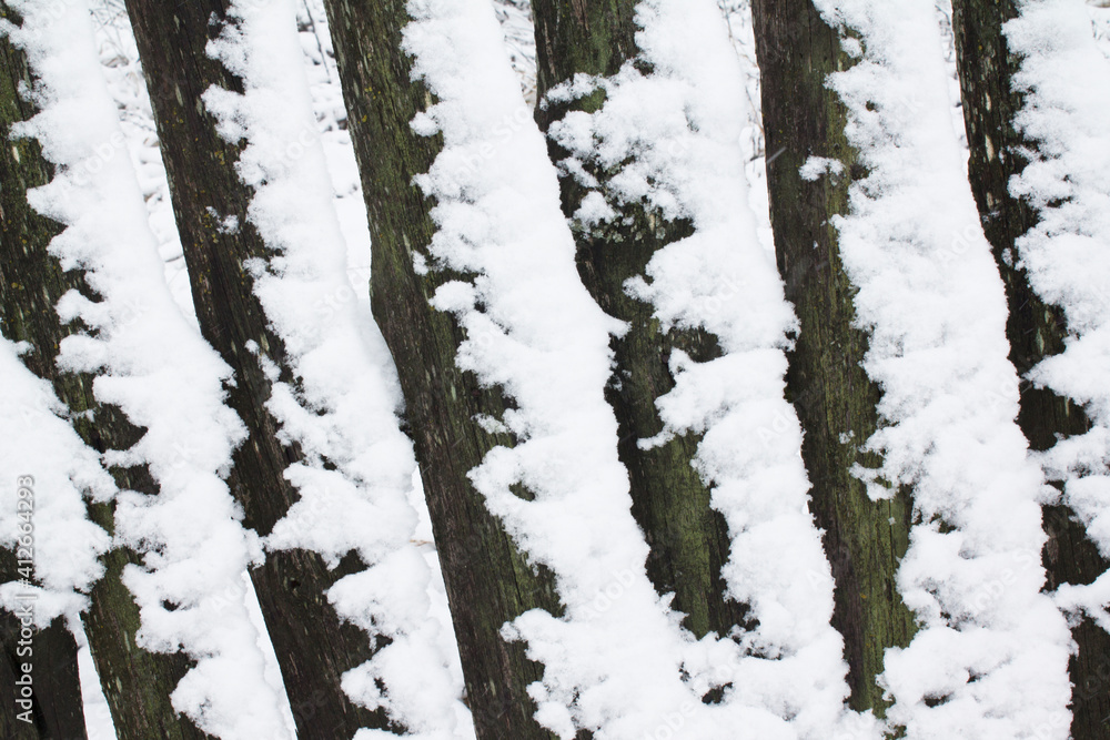 Obraz premium Sparse composition with wooden fence covered in snow