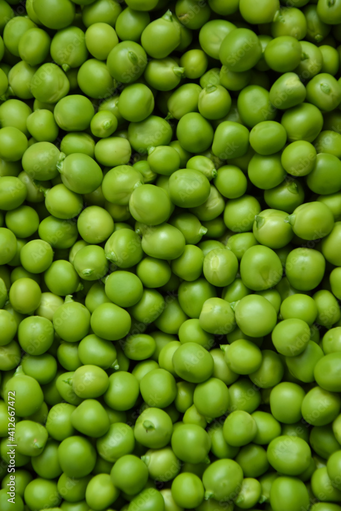 Green pea background. Pea pods from farmland. Pea freshly picked. Organic fresh vegetables. Healthy eating. Country garden harvest. Green pea background. Pea pods from farmland. Pea freshly picked. Organic fresh vegetables. Healthy eating. Country garden harvest.