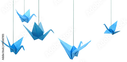 Blue origami paper cranes haning isolated white photo