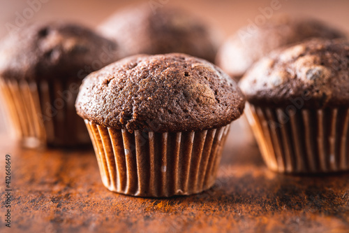 Chocolate muffins. Sweet dark cupcakes.