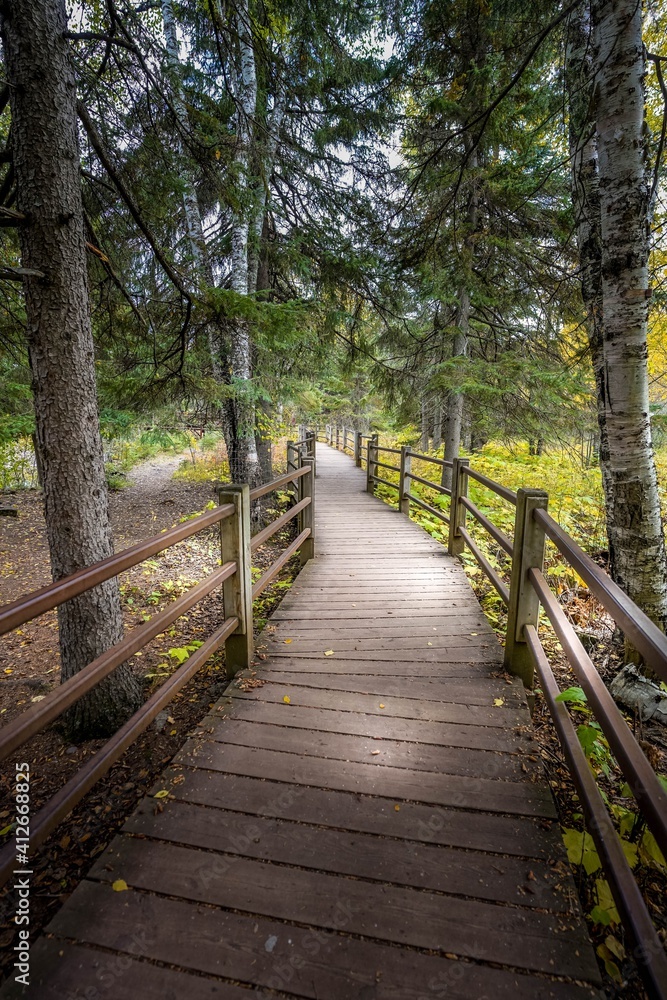 Wood trail in the deep woods of Gooseberry Falls State Park in Minnesota