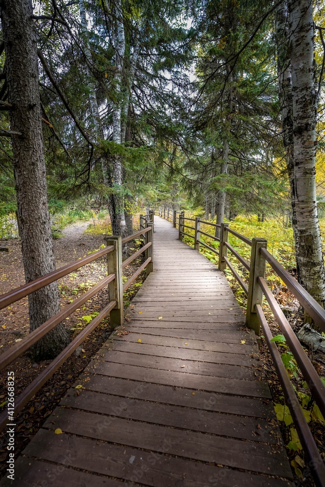 Wood trail in the deep woods of Gooseberry Falls State Park in Minnesota Wood trail in the deep woods of Gooseberry Falls State Park in Minnesota