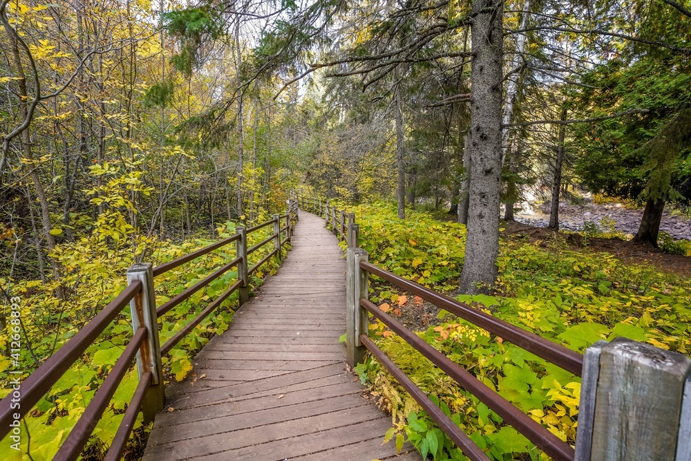 Wooden trail in the colorful Autumn woods of Gooseberry Falls State Park