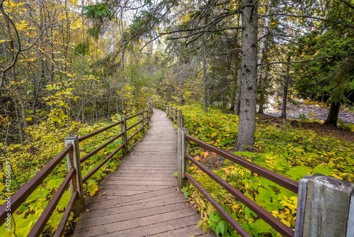Wooden trail in the colorful Autumn woods of Gooseberry Falls State Park © Susan Rydberg