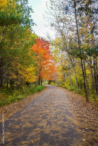 Walking trail with colorful leaves at Gooseberry Falls State Park in Autumn
