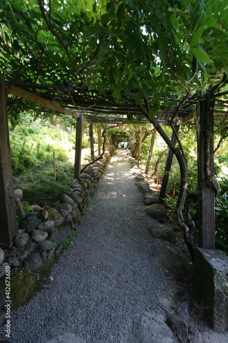Japanese Garden Central Coast California