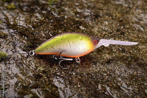 Fishing lure wobbler on a wet stone with moss
