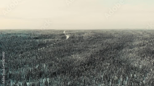 landscape with a tree