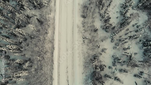 road in forest