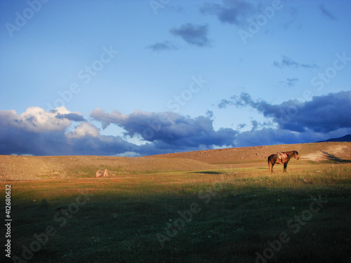 Horse resting in the mongolian steppe. Sunset landscape. Horse resting in the mongolian steppe. Sunset and empty landscape. Quiet place. Altay Tavan Bogd national park