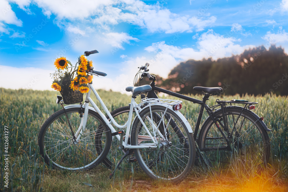 Obraz premium Vintage framed womens bicycle with sunflowers in basket and mens black bike are standing in the field. Romance date or love story concept