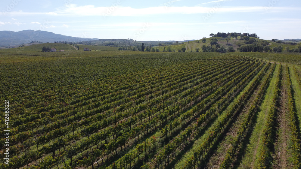 vineyards in beautiful tuscany, italian wine from grapes in sunny location